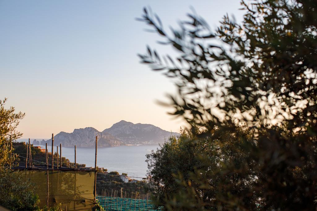 Apartmán Il Nido Del Gabbiano Massa Lubrense Exteriér fotografie